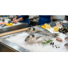 Filet P6 : 2 à 3 Daurades entières
