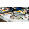 Filet P5 : 2 à 3 Loups entiers