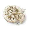 Chèvre / herbes de pce